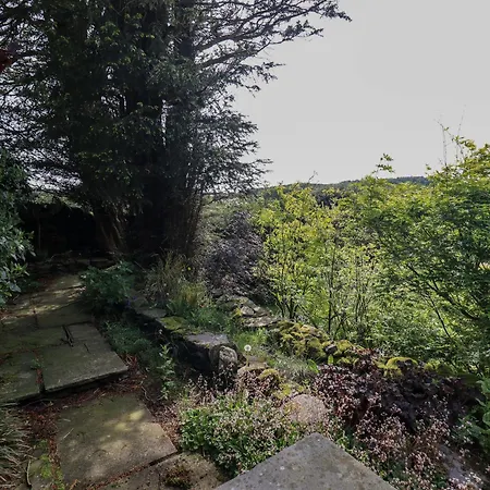 Kestrel Grange-over-Sands